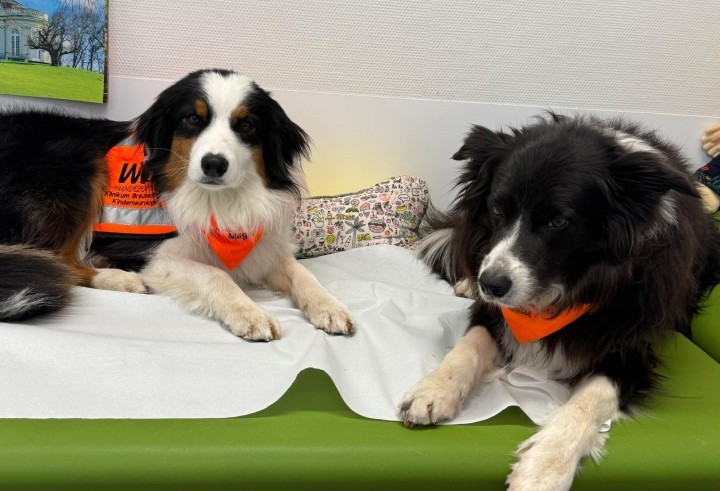 2026 03 11 Magic und Nox 1 Antje Mey