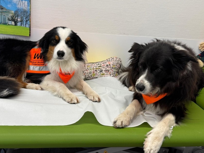 2026 03 11 Magic und Nox 1 Antje Mey