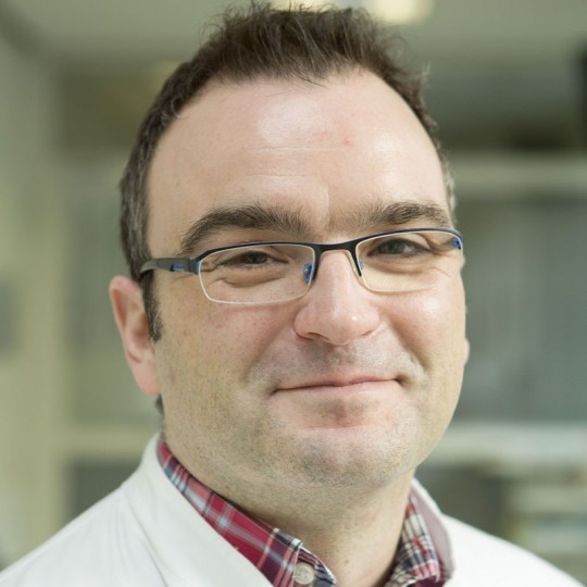  Dr. Thomas Schmelzle