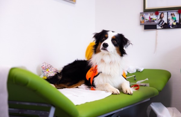 2024 10 18 SPZ Magic zu Besuch Bjo rn Petersen 28