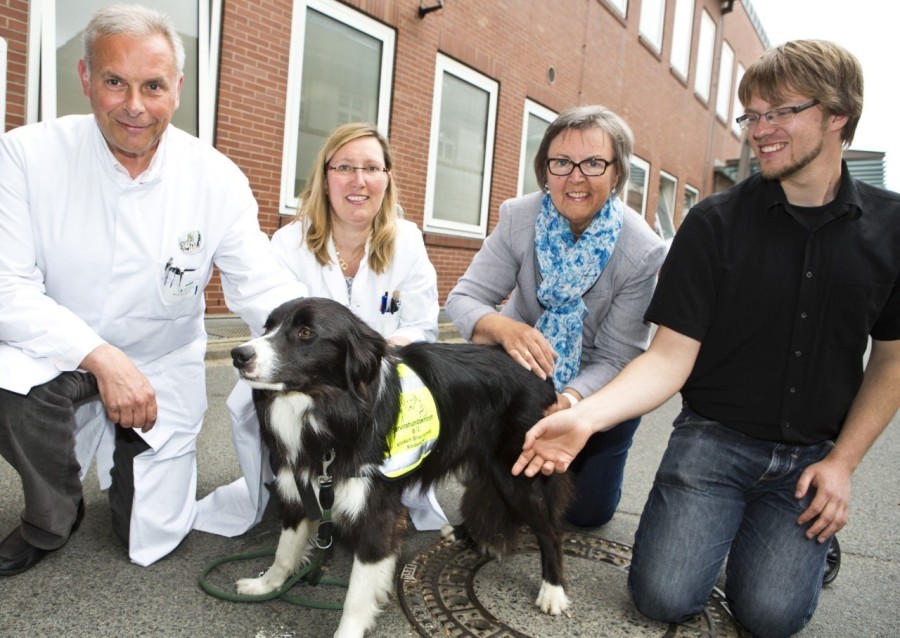 Sie möchten für unseren Therapiehund Nox spenden?